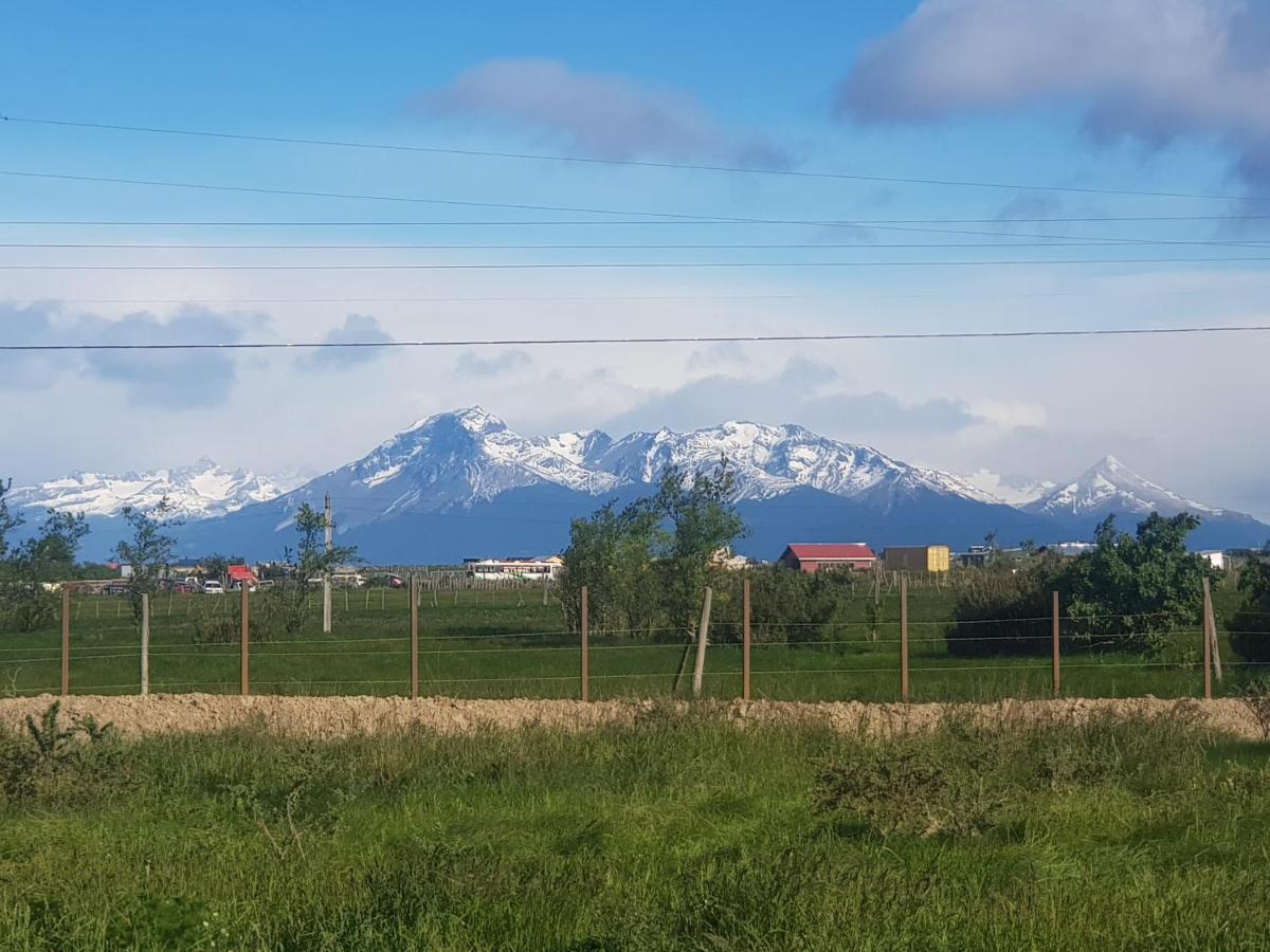 Hotel Casa Verde Puerto Natales Eksteriør bilde